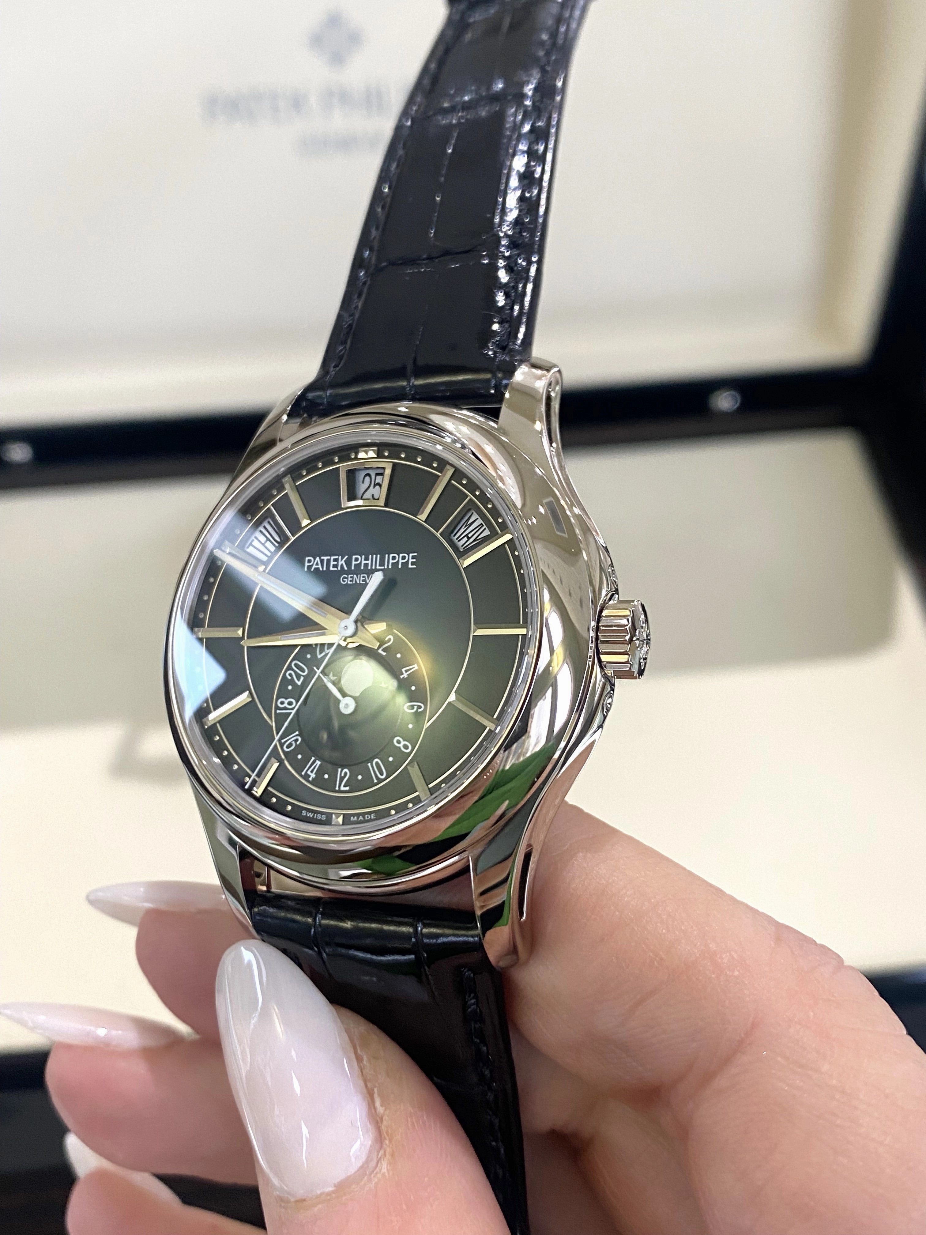 2022 Patek Philippe Complications Moon Phase