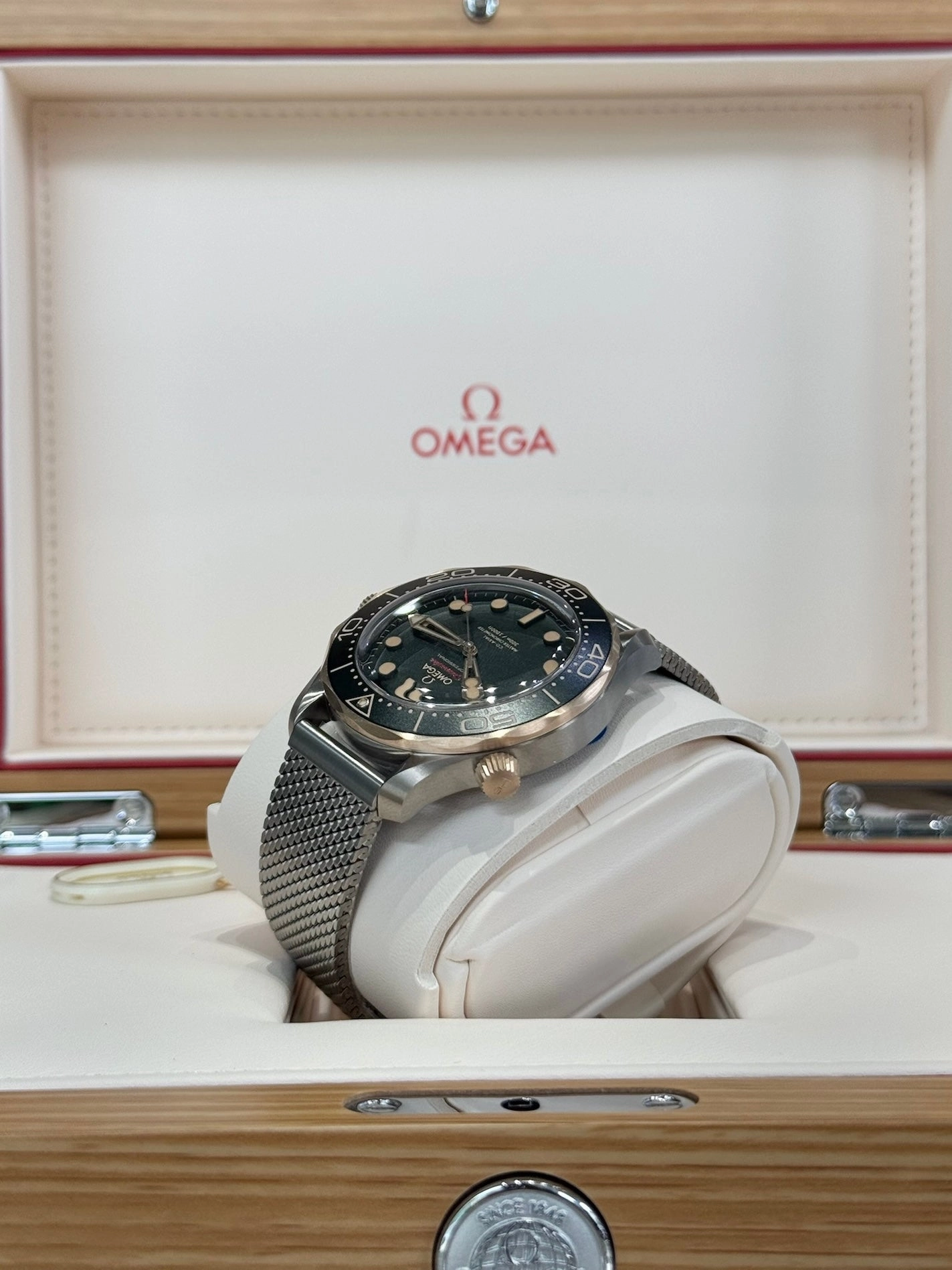 2025 Omega Professional Seamaster Diver