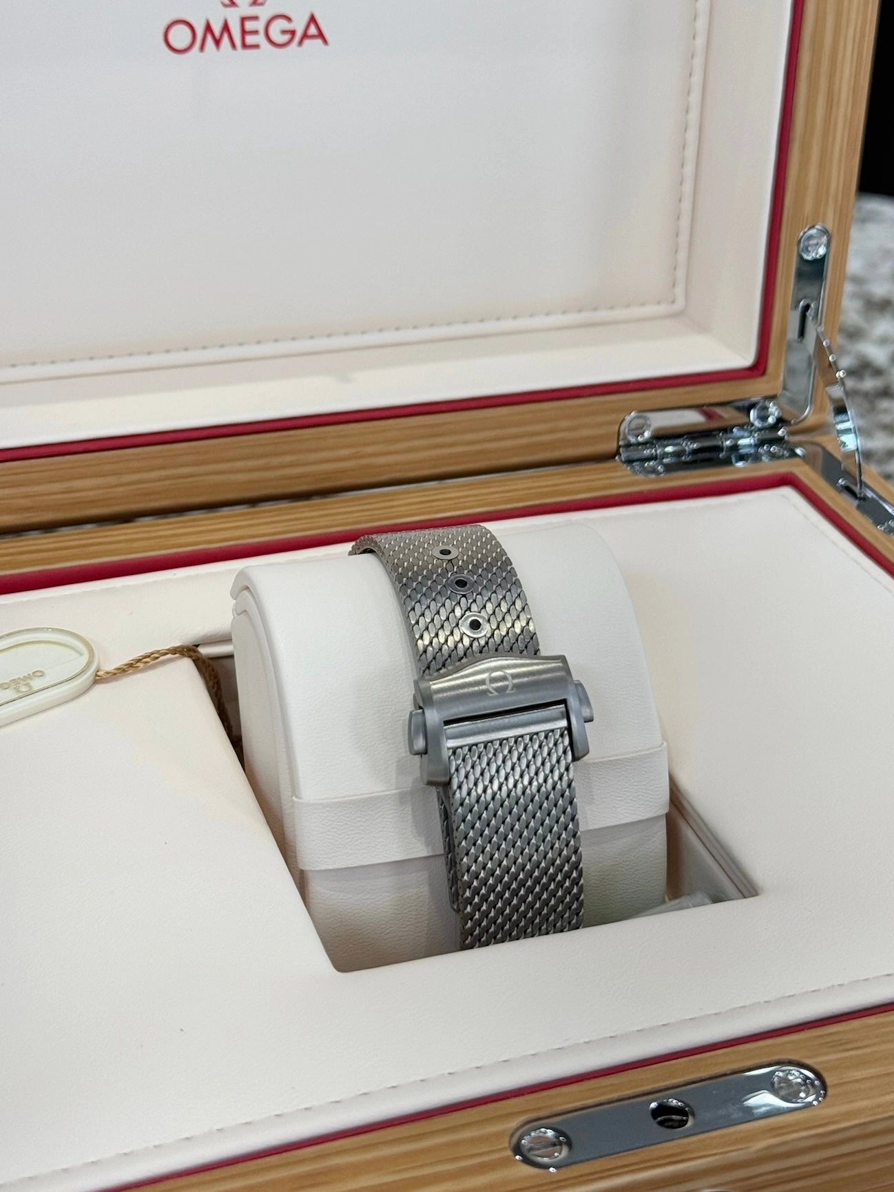 2025 Omega Professional Seamaster Diver