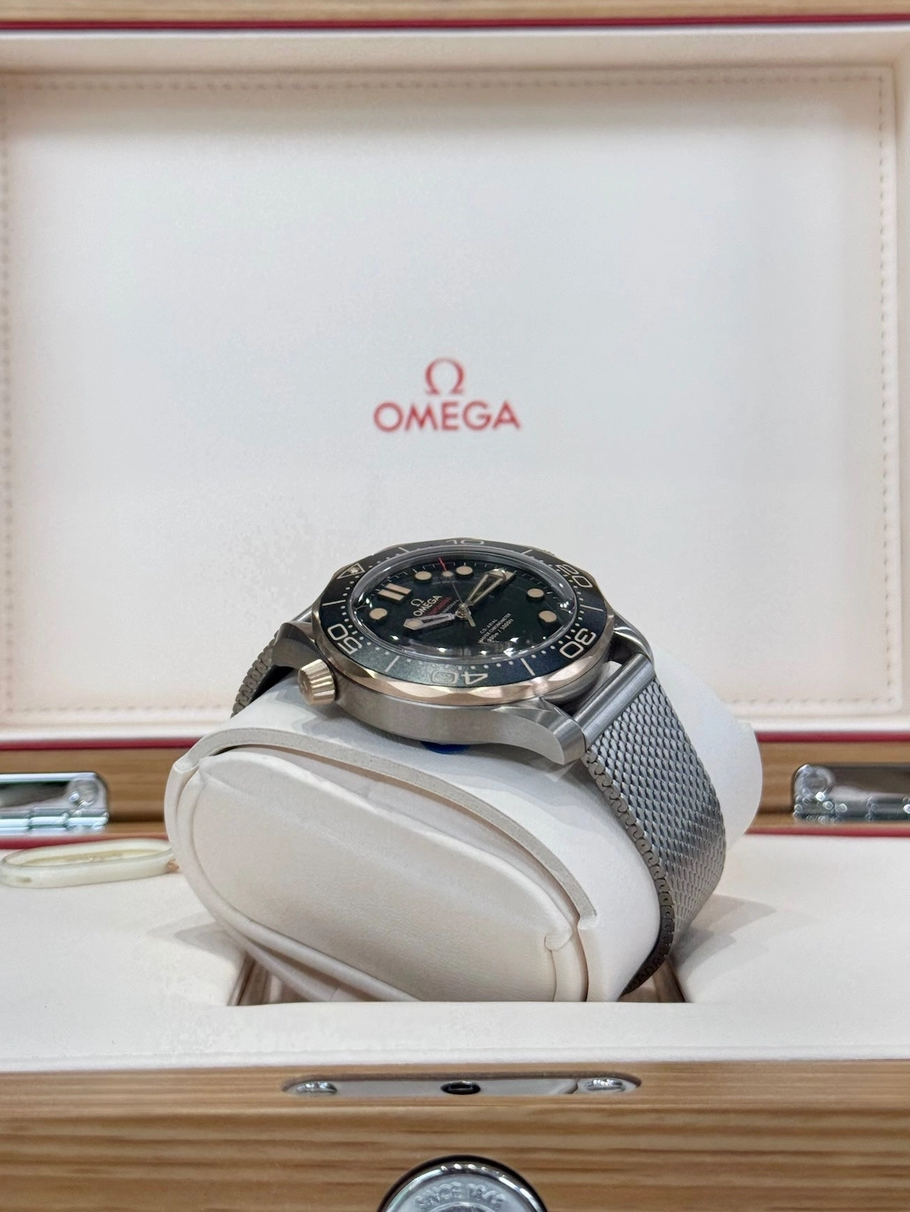 2025 Omega Professional Seamaster Diver