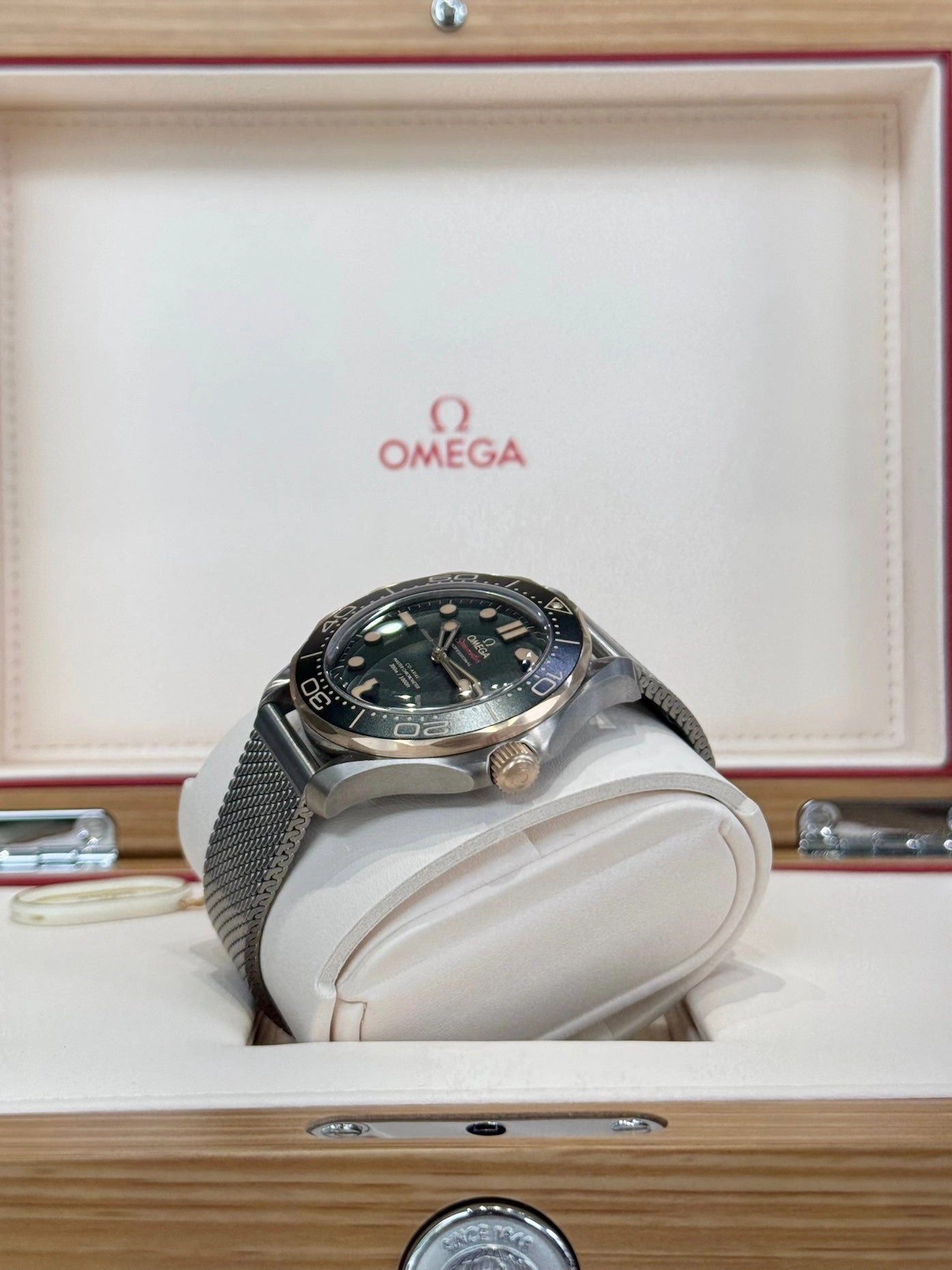 2025 Omega Professional Seamaster Diver