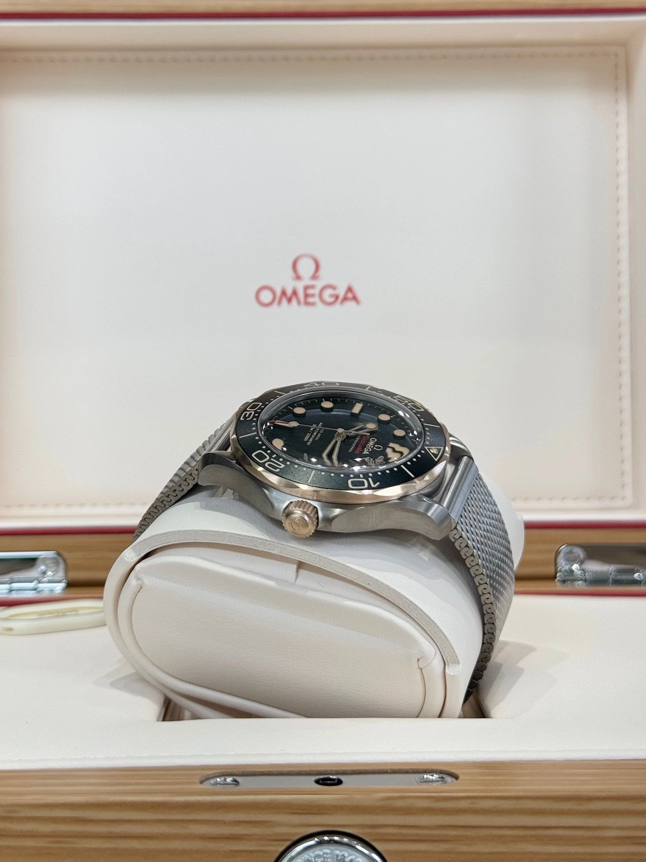 2025 Omega Professional Seamaster Diver