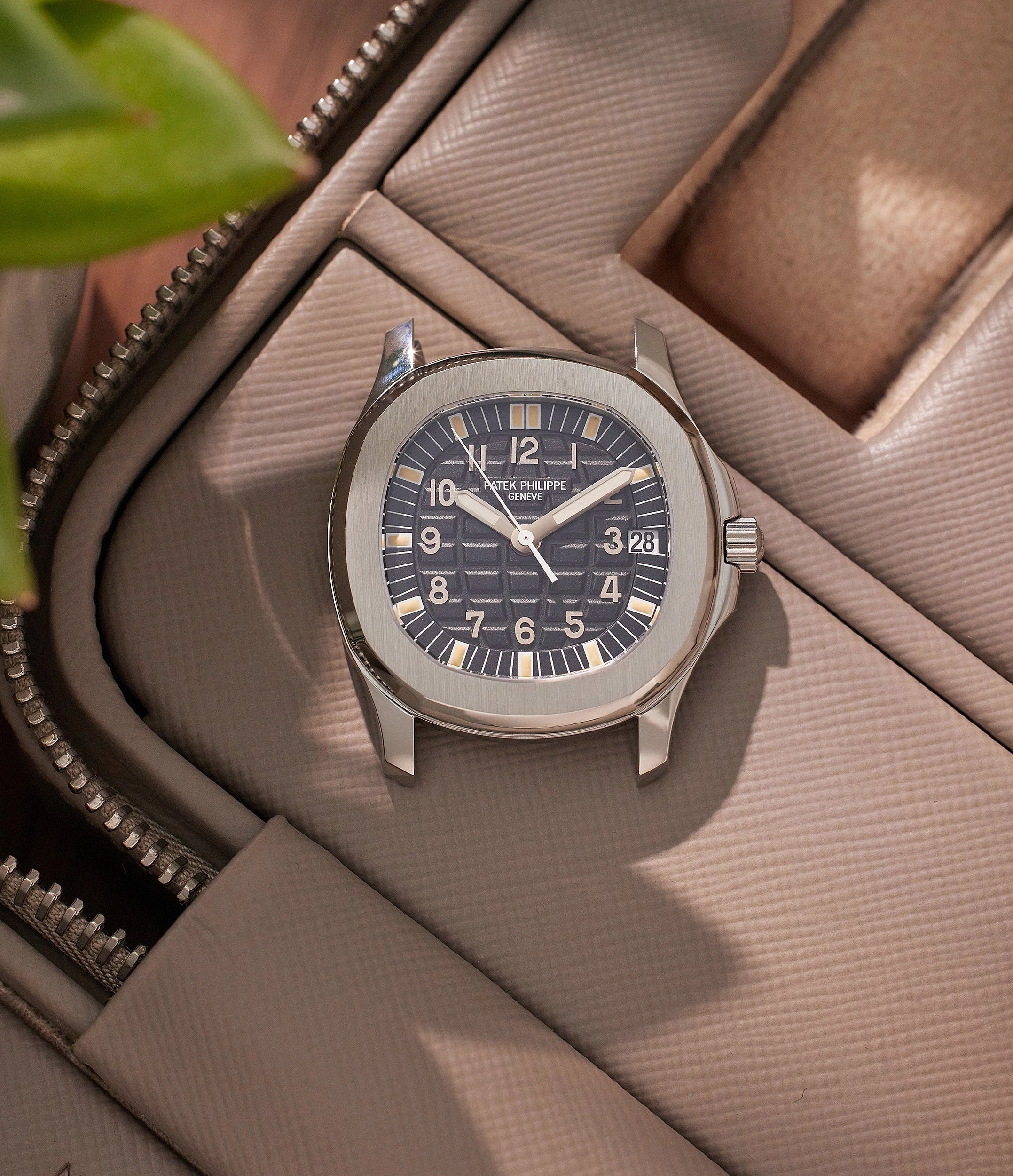 Aquanaut 5066 | Steel