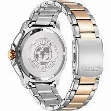 Citizen Eco-Drive 2 Tone Black Dial Date Dress Watch
