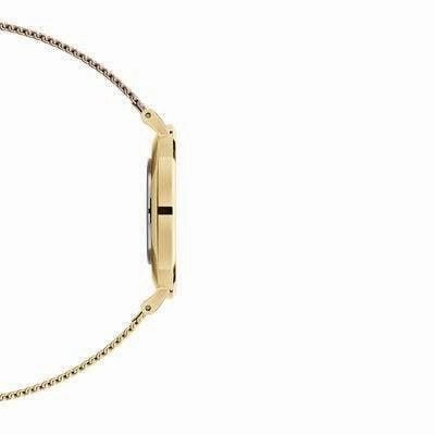 Daniel Wellington Petite Evergold Gold Watch 32mm