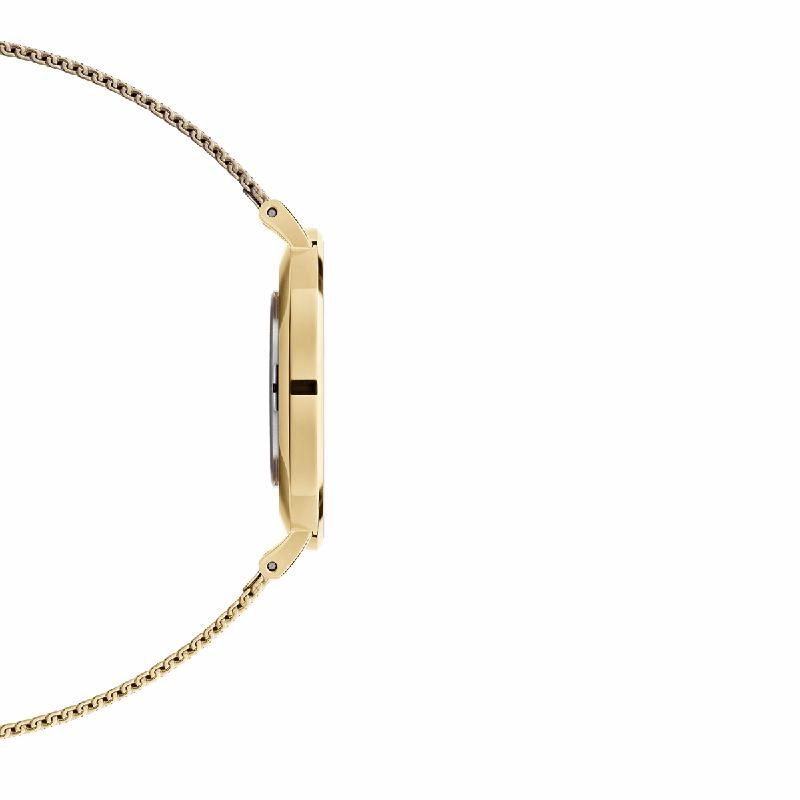 Daniel Wellington Petite Evergold Gold Watch 36mm