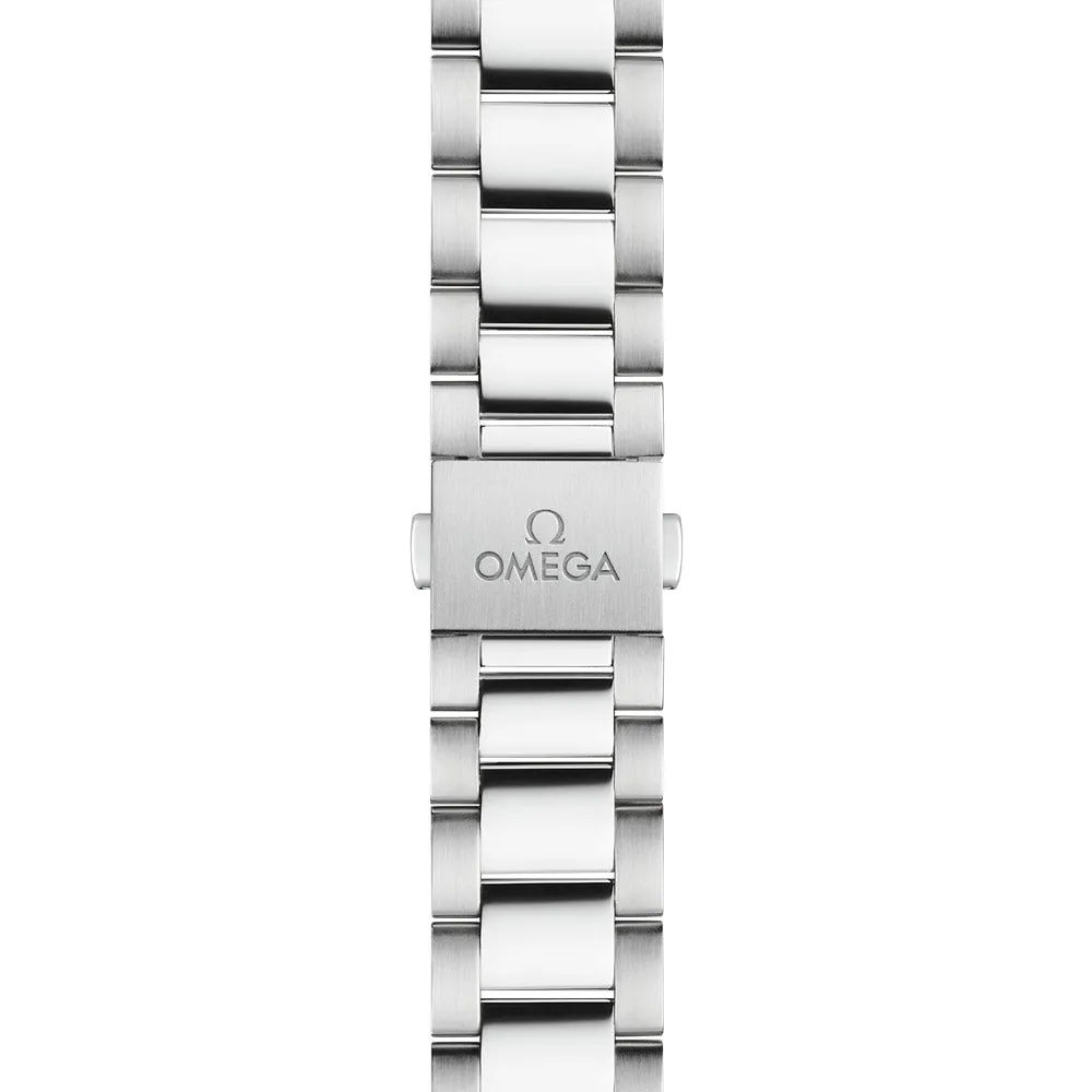 OMEGA Seamaster Aqua Terra 34mm Silver Dial Automatic Ladies Watch 22010342002001