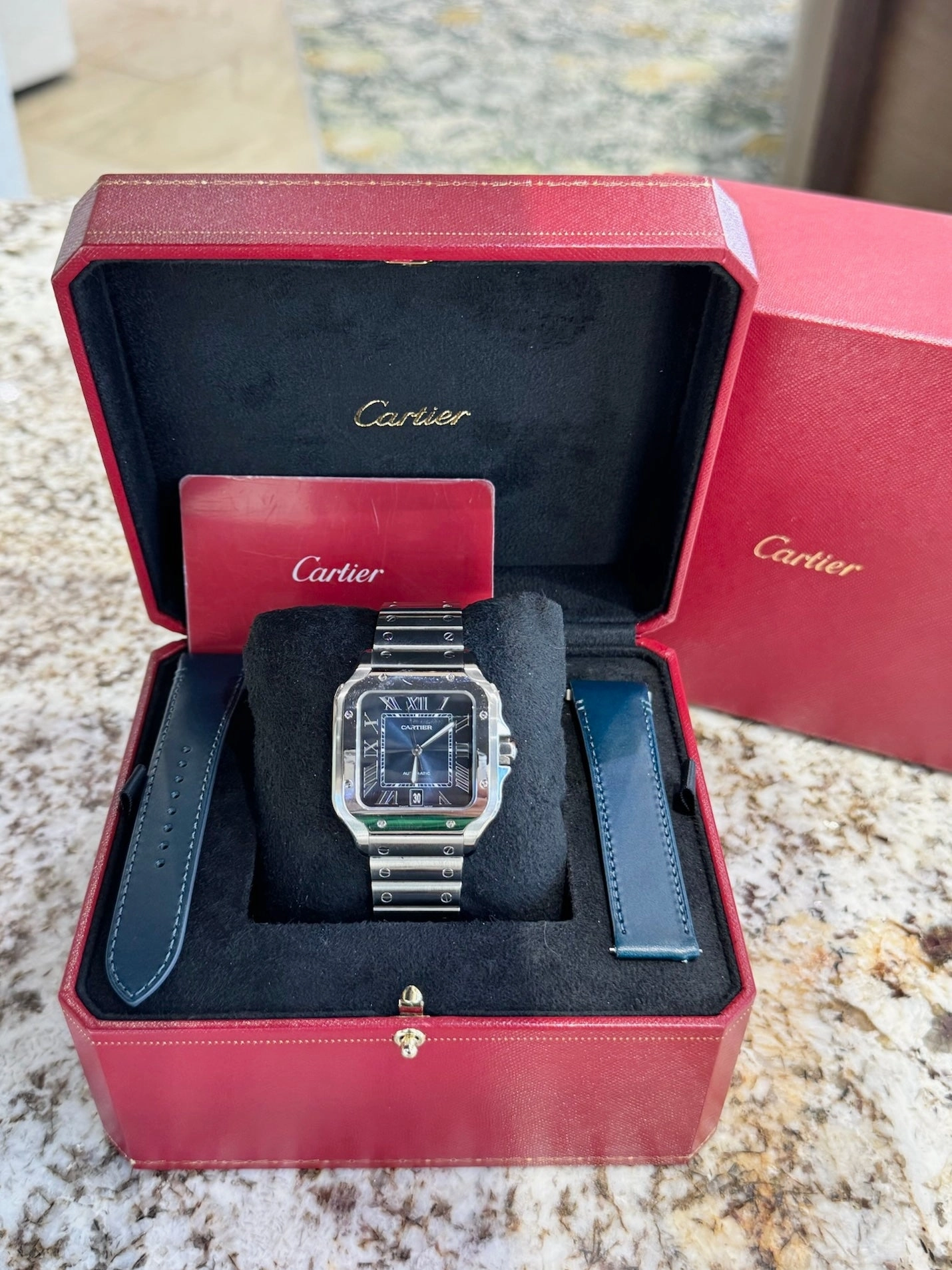 Santos de Cartier WSSA0030