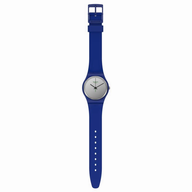 Swatch SILVERWAKATI Watch SO28N100