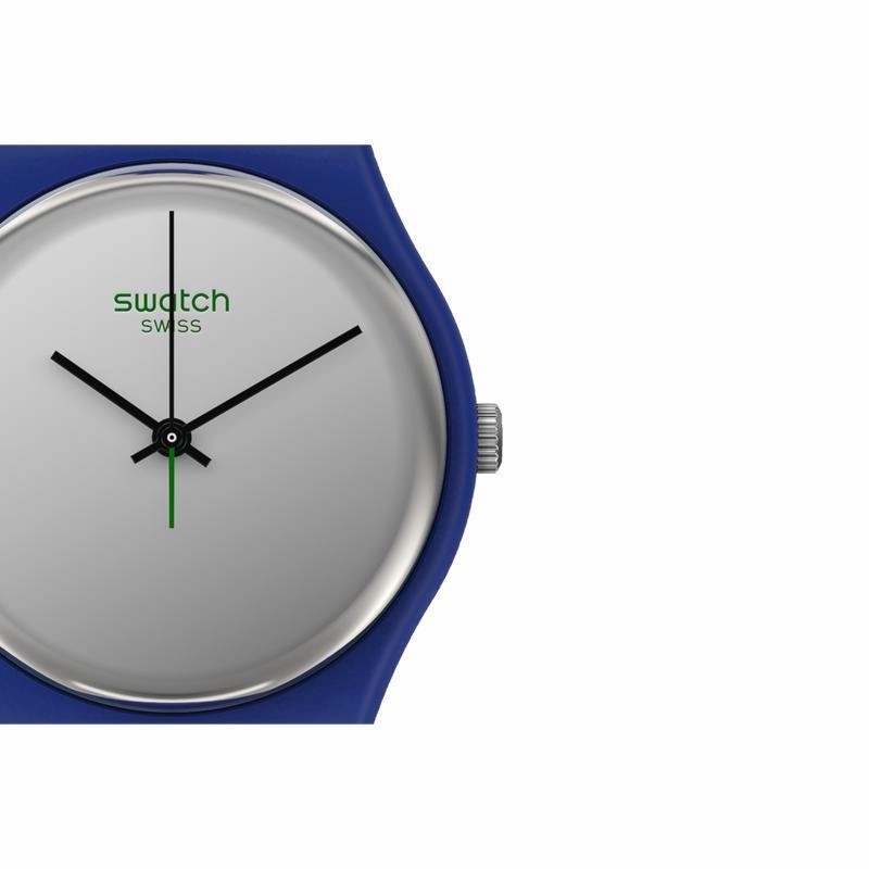 Swatch SILVERWAKATI Watch SO28N100