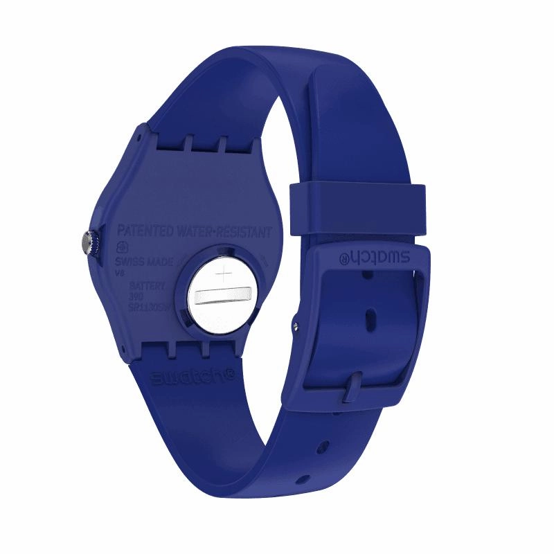 Swatch SILVERWAKATI Watch SO28N100