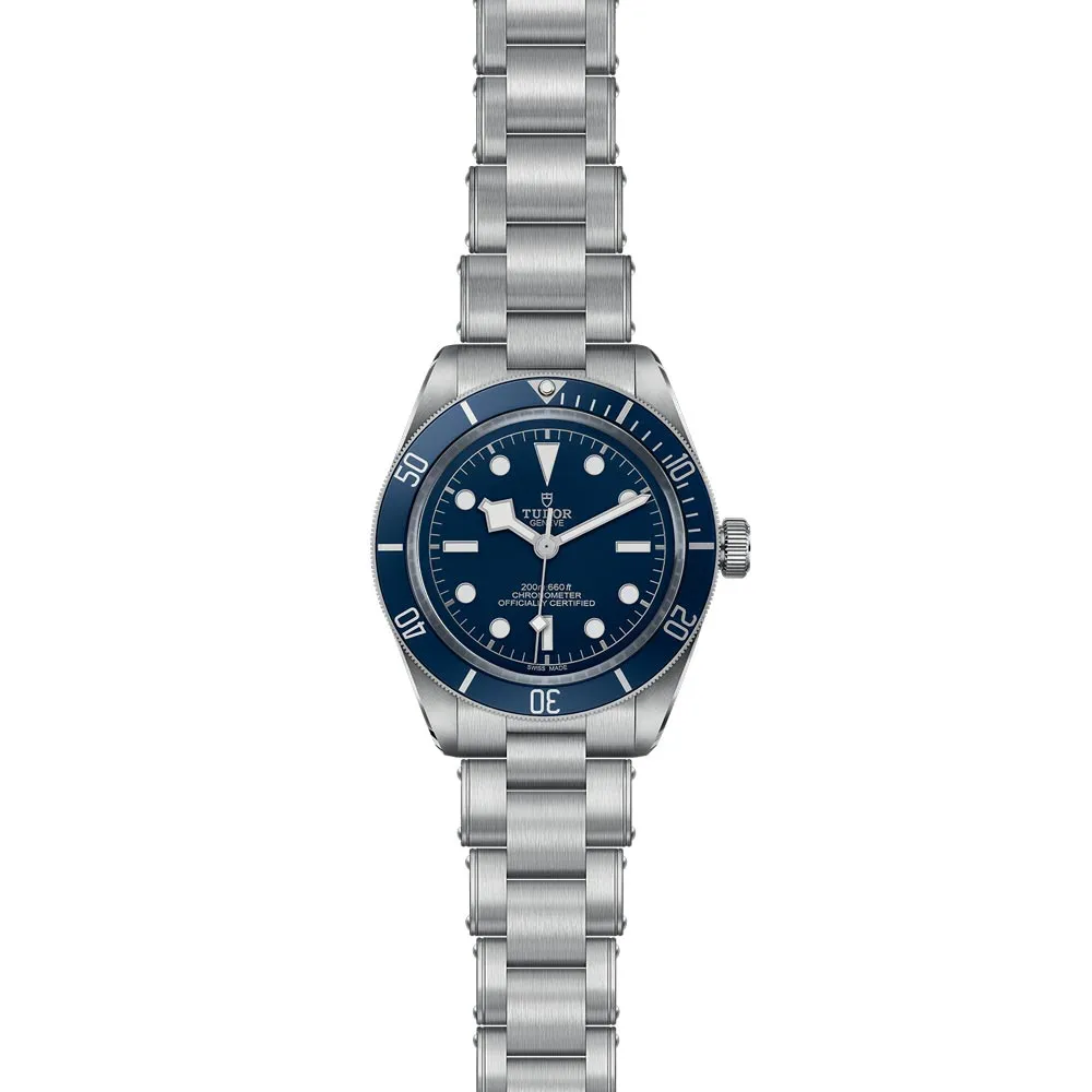 TUDOR Black Bay 58 39mm Blue Dial Gents Watch M79030B-0001