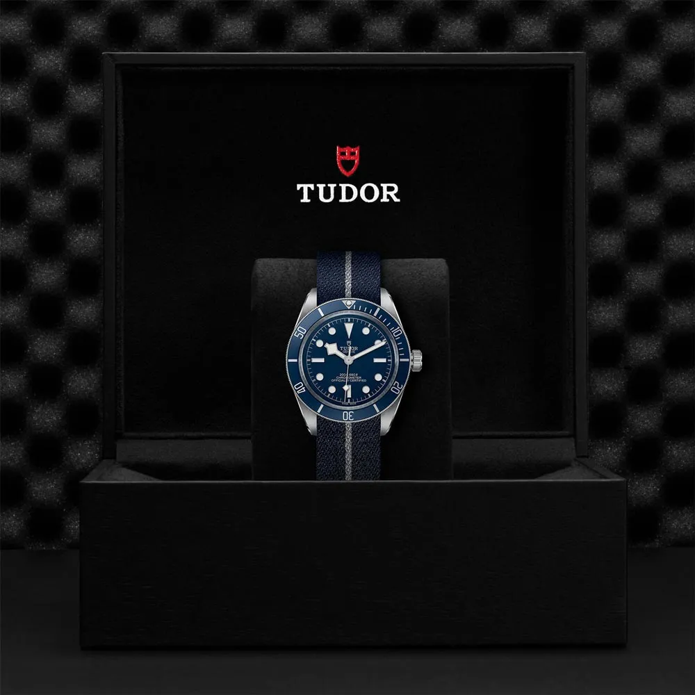 TUDOR Black Bay 58 39mm Blue Dial Gents Watch M79030B-0003