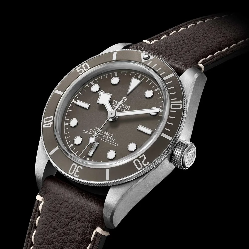 TUDOR Black Bay 58 925 Silver 39mm Taupe Dial Watch M79010SG-0001