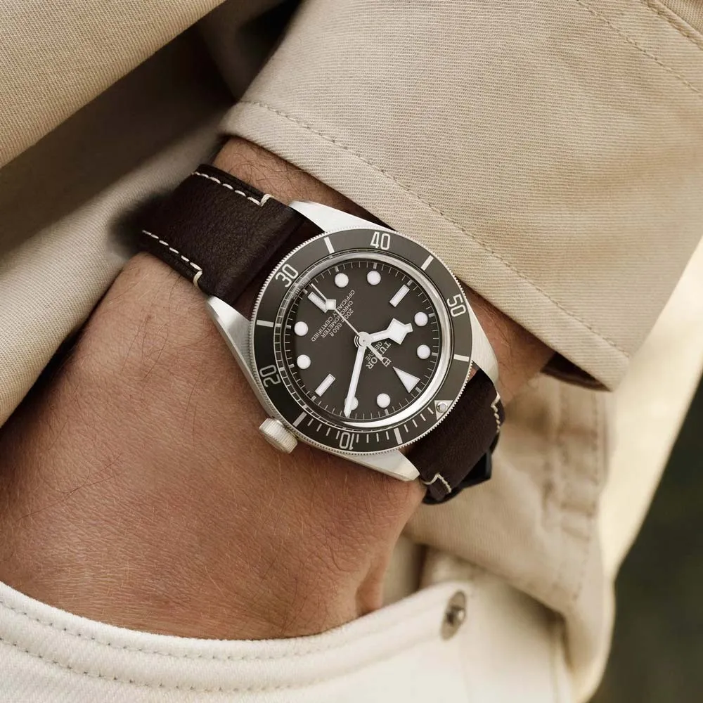 TUDOR Black Bay 58 925 Silver 39mm Taupe Dial Watch M79010SG-0001