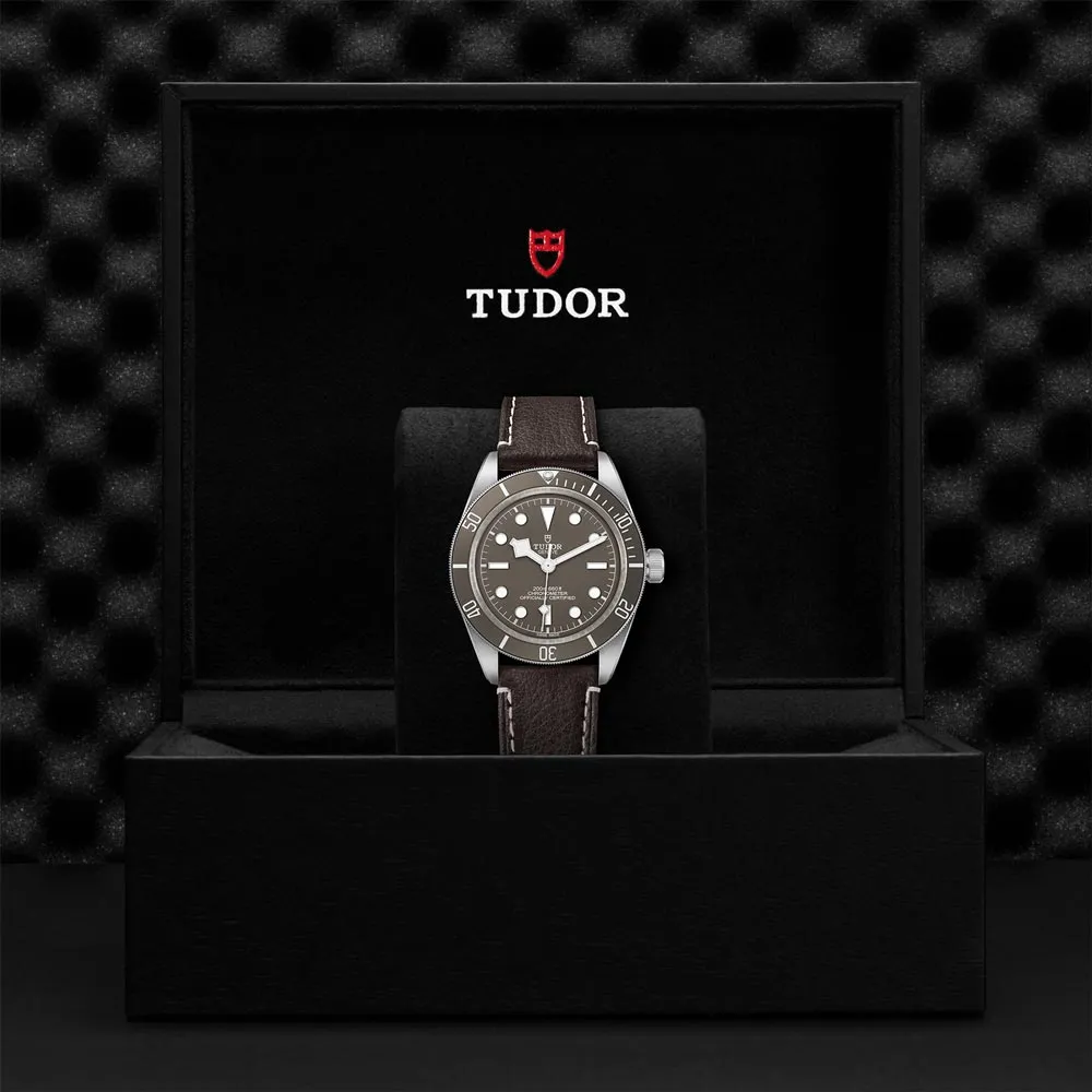 TUDOR Black Bay 58 925 Silver 39mm Taupe Dial Watch M79010SG-0001