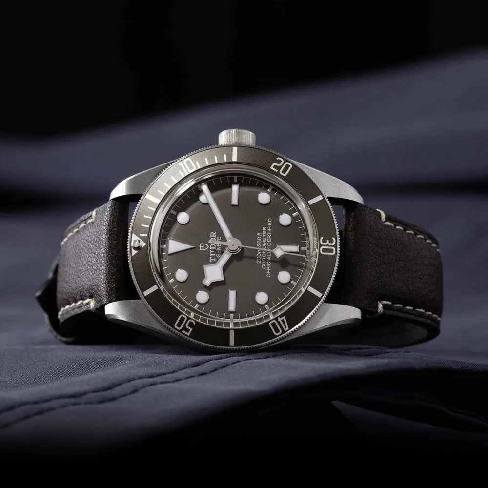 TUDOR Black Bay 58 925 Silver 39mm Taupe Dial Watch M79010SG-0001