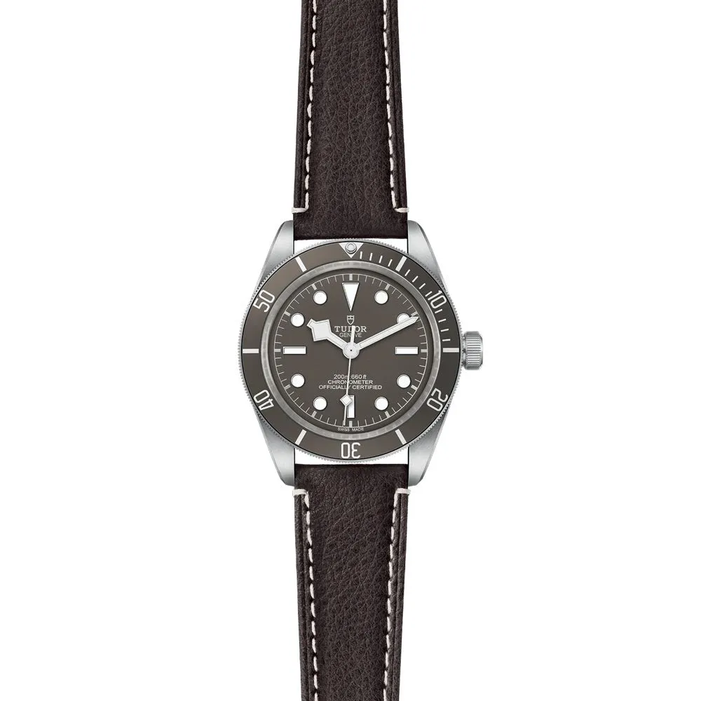 TUDOR Black Bay 58 925 Silver 39mm Taupe Dial Watch M79010SG-0001