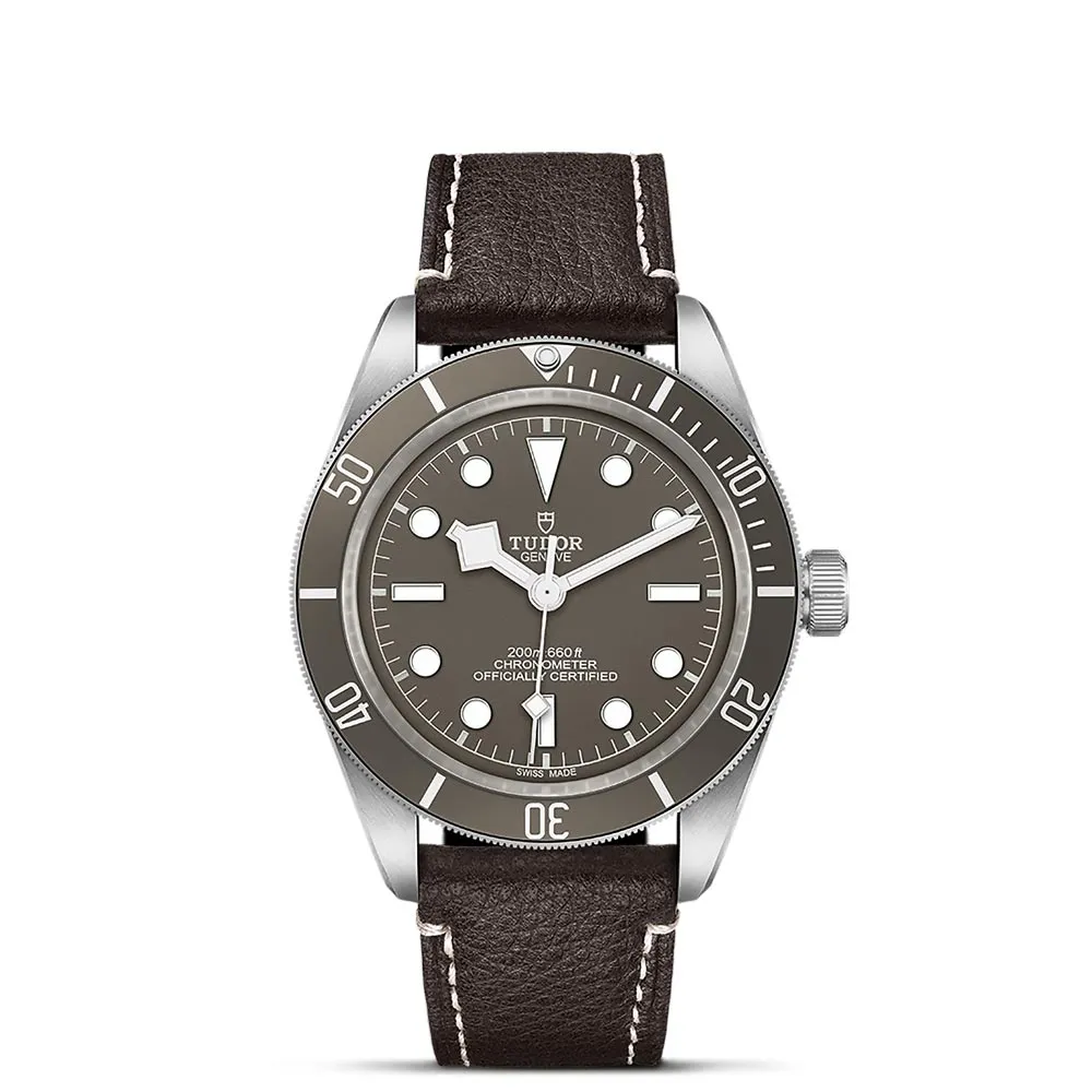 TUDOR Black Bay 58 925 Silver 39mm Taupe Dial Watch M79010SG-0001