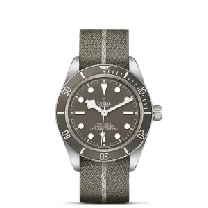 TUDOR Black Bay 58 925 Silver 39mm Taupe Dial Watch M79010SG-0002