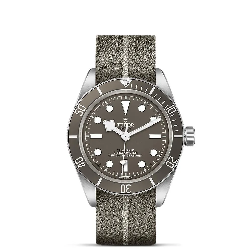 TUDOR Black Bay 58 925 Silver 39mm Taupe Dial Watch M79010SG-0002