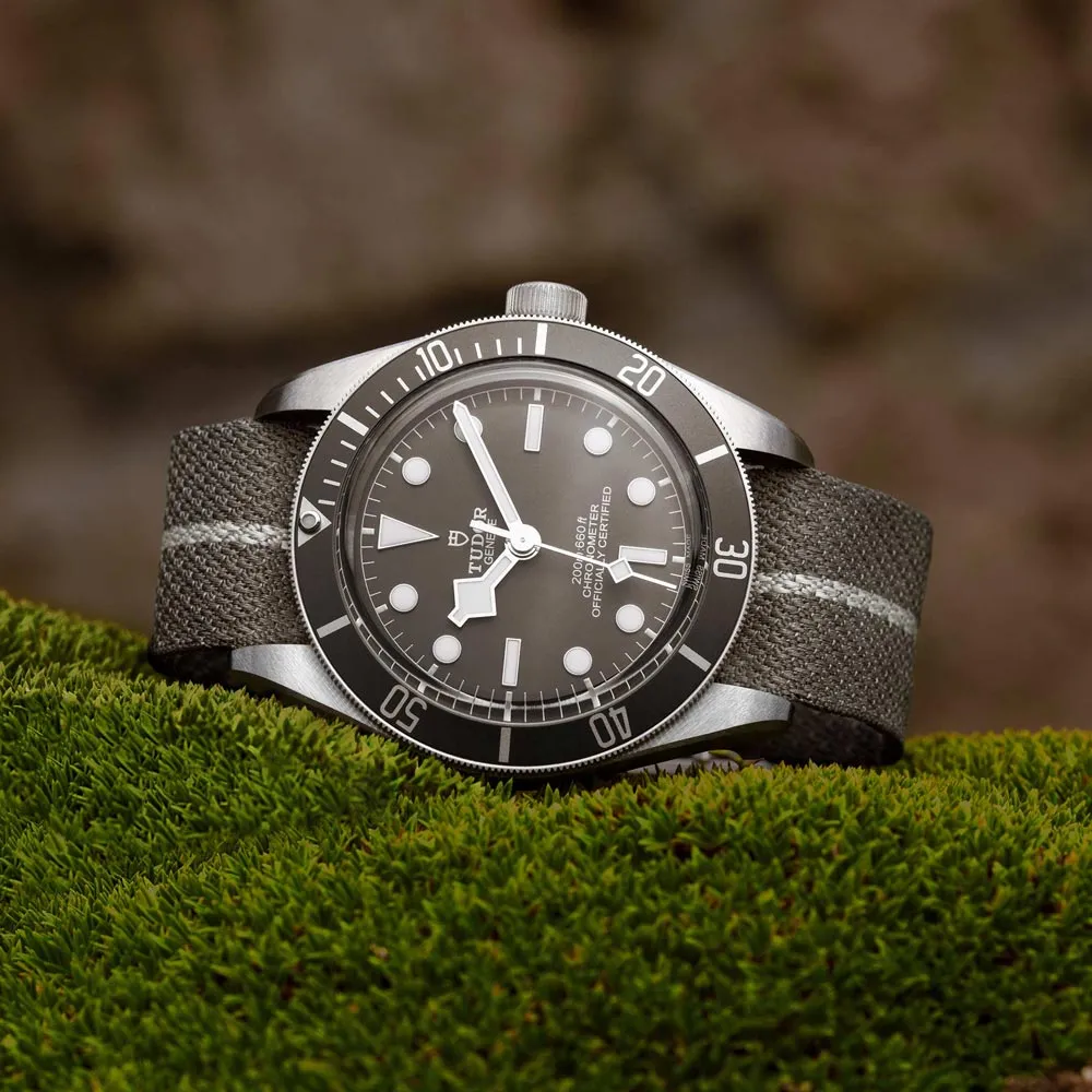 TUDOR Black Bay 58 925 Silver 39mm Taupe Dial Watch M79010SG-0002