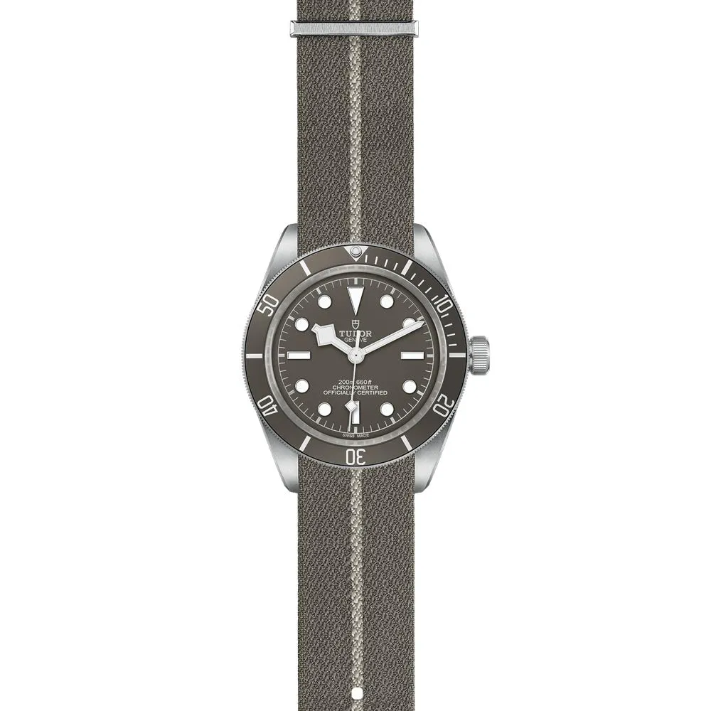 TUDOR Black Bay 58 925 Silver 39mm Taupe Dial Watch M79010SG-0002