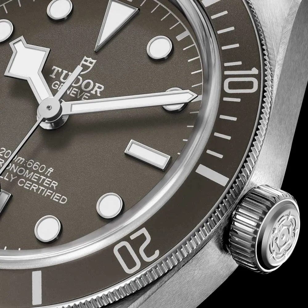 TUDOR Black Bay 58 925 Silver 39mm Taupe Dial Watch M79010SG-0002