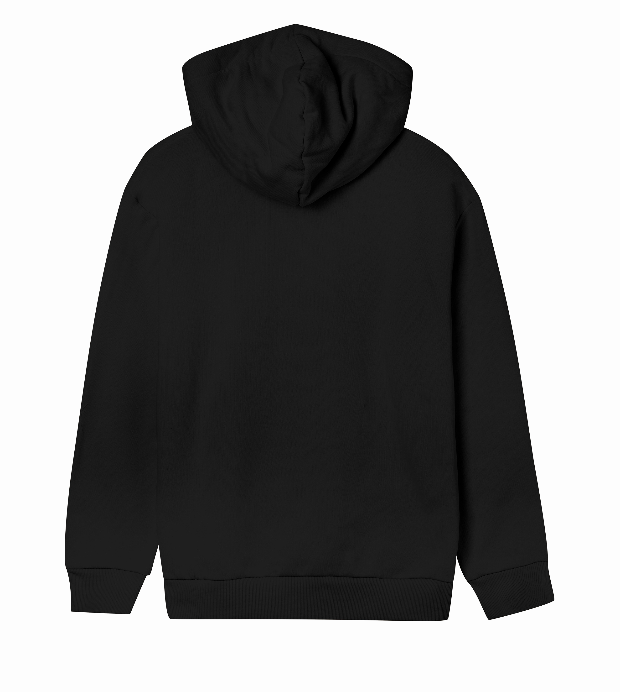 Womens Regular Hoodi v3e